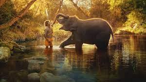 Unveiling the Magical Bond: The Elephant Whisperers - IndianElephant
